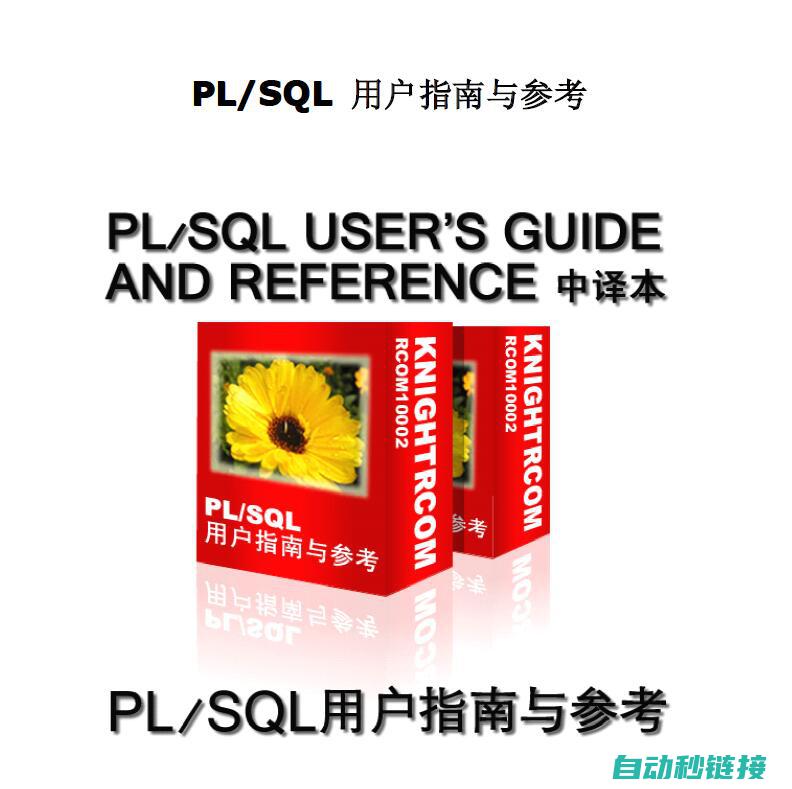 深入解析PLC编程技术 (深入解析pulsar)