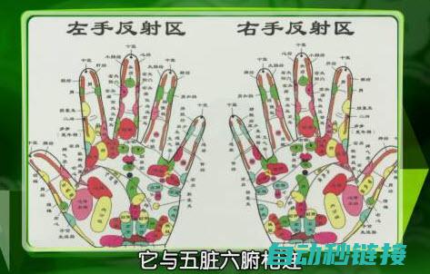 入门掌口诀